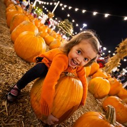 Pumpkin City's Pumpkin Farm