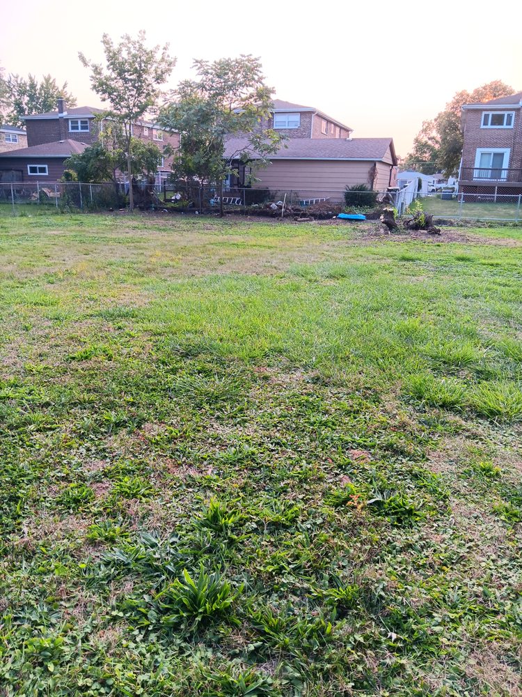 Slide of Luis Outdoor Services