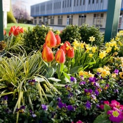 A Moment For You PLLC - Orcas Business Park Building P