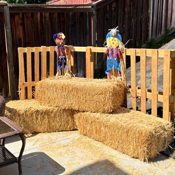 Aloha Balloon Creations - Balloon Services Near Me Aloha Balloon Creations - Balloon Services Near Me