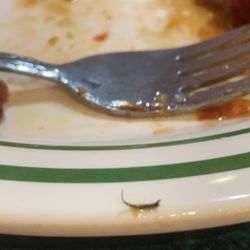 Ming's Garden Chinese Restaurant - An eye lash found