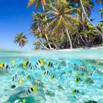 TMZ World Travel - Travel Agents Near Me - Houston, Texas