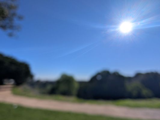 Kenneth Hahn State Recreation Area by null