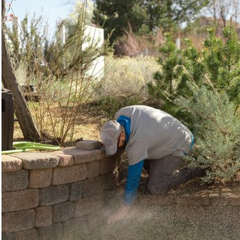 Sierra Sprinkler - Irrigation Near Me - Reno, Nevada Sierra Sprinkler - Irrigation Near Me - Reno, Nevada