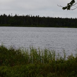 Memorial University of Newfoundland Botanical Garden