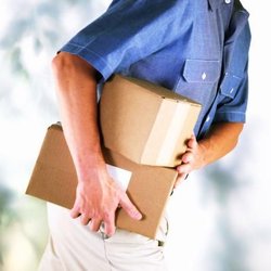 Hands Free Luggage - Any Parcel
