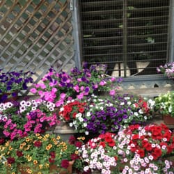 J E Mussig Greenhouses - Pre-made window boxes
