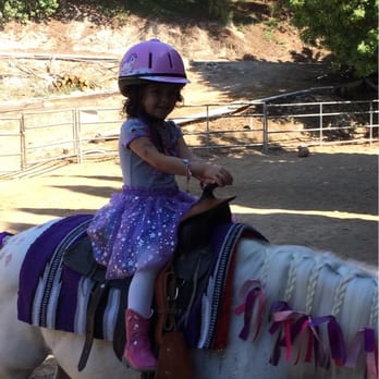 Horse Everything - Horseback Riding Near Me Horse Everything - Horseback Riding Near Me