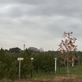 Apple Holler - American Near Me - Sturtevant, Wisconsin