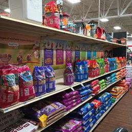 Lots of different type of bird food