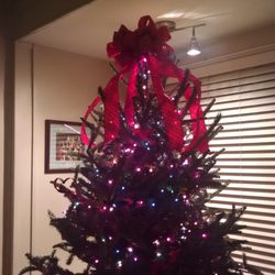 Lakewood Theatre - Their little tree in the front entrance.