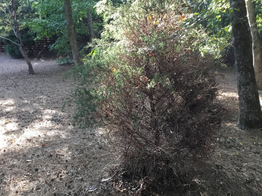 HICKS LANDSCAPE CONTRACTORS INC 6204 Robertson Pond Rd, Wendell