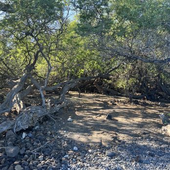 Kiholo Bay - Wooded area on the beach with shade - Beaches Near Me - Kailua-Kona, Hawaii Kiholo Bay - Wooded area on the beach with shade - Beaches Near Me - Kailua-Kona, Hawaii