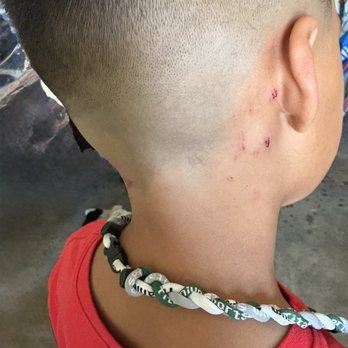 Cutz & Style By Wan - Cut his neck up badly! - Hair Salons Near Me - Midlothian, Texas Cutz & Style By Wan - Cut his neck up badly! - Hair Salons Near Me - Midlothian, Texas