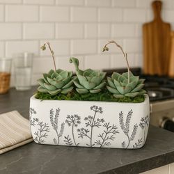 ASucca4U - Succulent Home Decor