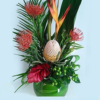 Divine Designs Florist - ISLAND BREEZE PROTEA - Florists Near Me - St. Petersburg, Florida Divine Designs Florist - ISLAND BREEZE PROTEA - Florists Near Me - St. Petersburg, Florida