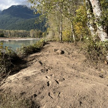 KBA Land Clearing - Cleared brush from river for improved views and access - Tree Services Near Me - Battle Ground, Washington KBA Land Clearing - Cleared brush from river for improved views and access - Tree Services Near Me - Battle Ground, Washington