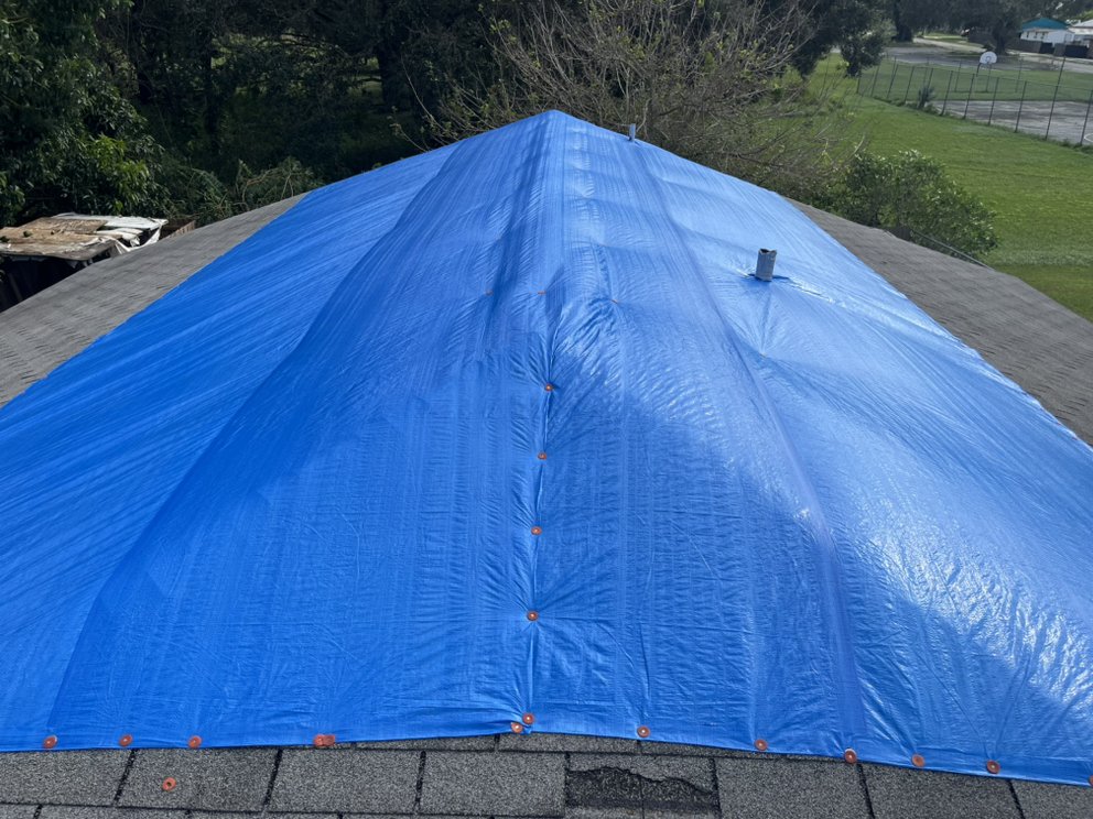 Slide of Blue Tarp Express