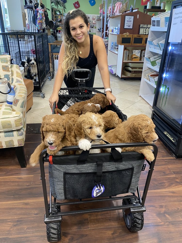 PetLife Animal Hospital Image