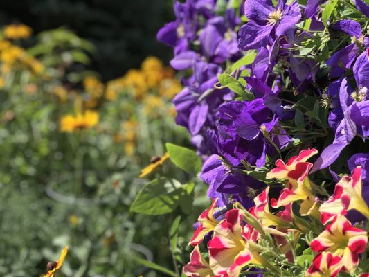 DanWalt Botanical Gardens by null