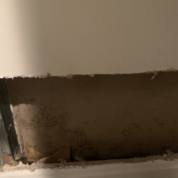 Avalon Courthouse Place - Mold 5 days after they first came in to fix the flood. Apparently if you don't tell them to fix everything, they won't. - Apartments Near Me - Arlington, Virginia Avalon Courthouse Place - Mold 5 days after they first came in to fix the flood. Apparently if you don't tell them to fix everything, they won't. - Apartments Near Me - Arlington, Virginia