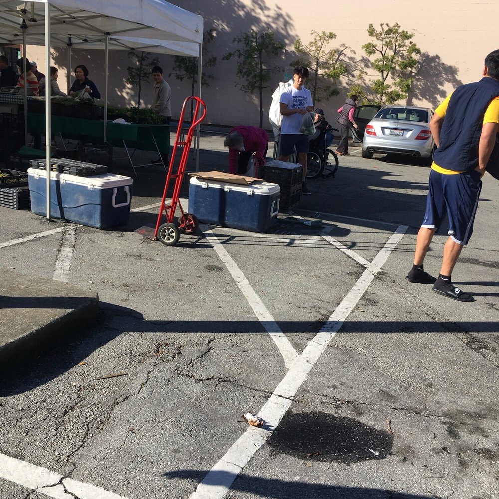 Cheung Hing Restaurant - Owner raiding farmers market trash for the food you eat at the restaurant...lady behind coolers hunched over - Chinese Near Me - Millbrae, California Cheung Hing Restaurant - Owner raiding farmers market trash for the food you eat at the restaurant...lady behind coolers hunched over - Chinese Near Me - Millbrae, California