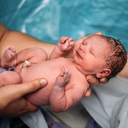 Beth Farnsworth - Wild Ferns Artistry - Gorgeous photograph from a home birth in Blue Ridge, Virginia