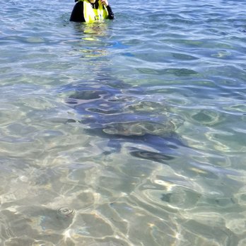 Black Rock Beach - The turtle! - Beaches Near Me - Lahaina, Hawaii Black Rock Beach - The turtle! - Beaches Near Me - Lahaina, Hawaii
