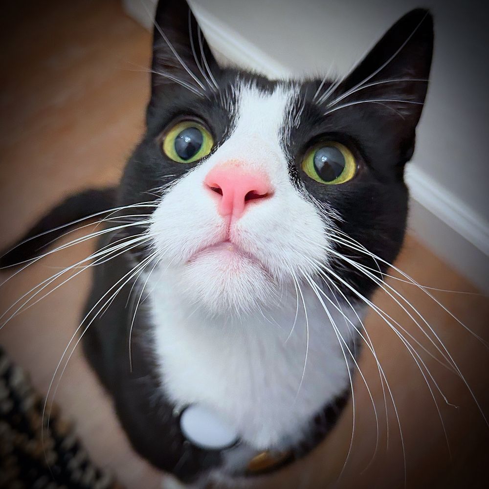 THE BEST 10 PET SITTING near LAFAYETTE, CA 94549 - Updated 2026 - Hours -  Yelp