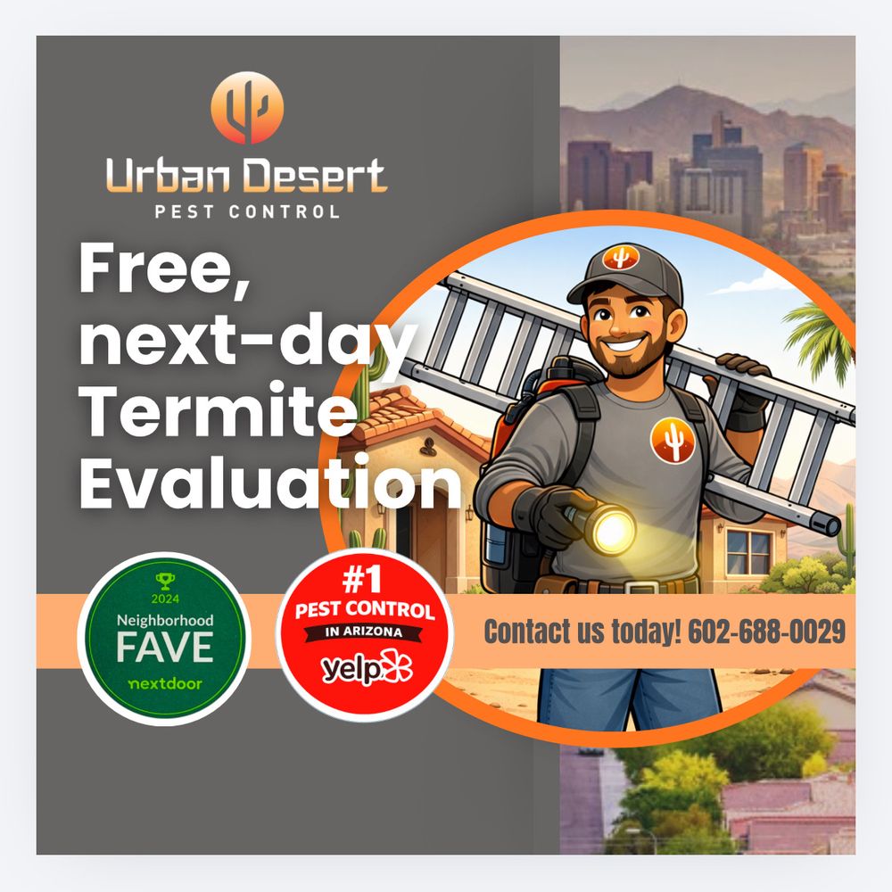 Bed Bug Exterminator near Me Same Day: Fast, Reliable Solutions