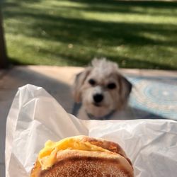 Convenient Corner Market - Vegetarian Breakfast Muffin with tomato and Swiss cheese