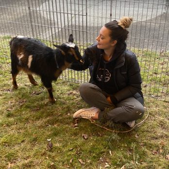 Animal Encounters - Educational Services Near Me Animal Encounters - Educational Services Near Me