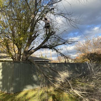 JJs Trees Outdoor Contracting - JJs Trees Outdoor Contracting - Landscaping Near Me