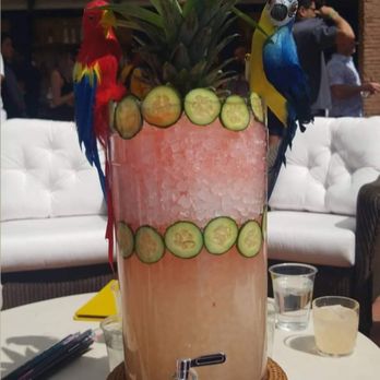 JEMAA - Macaw “Cocktail Explosion:” tequila, aloe, grapefruit, lime, cucumber, and...birds - Dance Clubs Near Me - Las Vegas, Nevada