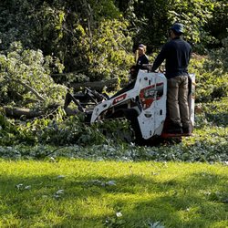 Roque’s Tree Service