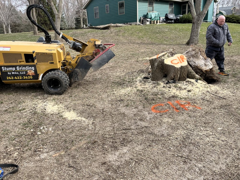 Stump Grinding by Mike - tree service in Jackson, WI