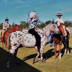 Tyrrell Park Stables