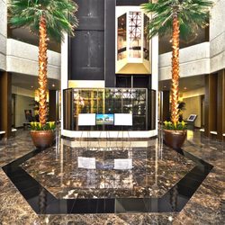 Dr. Michael Cristiano - Licensed Clinical Psychologist - Glass Elevators