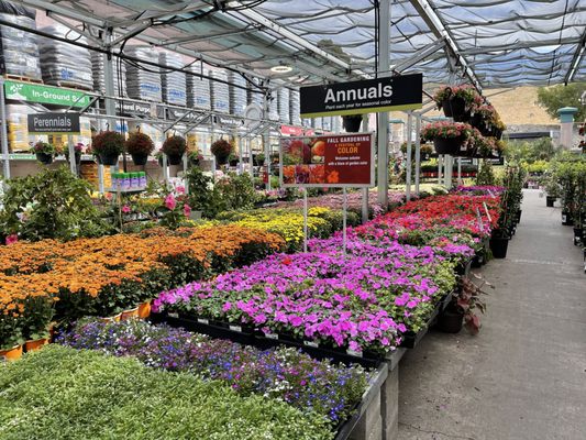 THE HOME DEPOT - Updated April 2025 - 56 Photos &amp; 271 Reviews - 100 ...