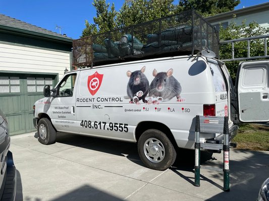Rat Control - Call 1-8333-RODENT now to request rat or mice control ! Specializing Only in Rats & Mice! Home and residential properties. Rat Control - Call 1-8333-RODENT now to request rat or mice control ! Specializing Only in Rats & Mice! Home and residential properties.