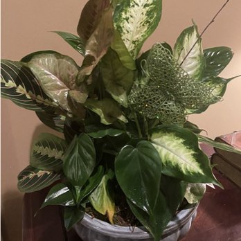 Petals And More - why not remove split yellow leaf at front bottom? - Florists Near Me - Forest, Mississippi