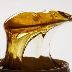 The Waxing Specialists