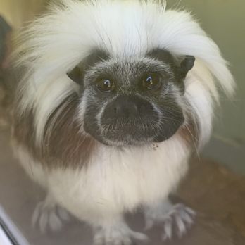 Tregembo Animal Park - Zoos Near Me - Wilmington, North Carolina Tregembo Animal Park - Zoos Near Me - Wilmington, North Carolina