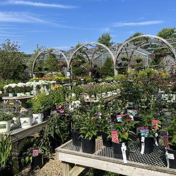 Flowers by Donaroma's - Nurseries & Gardening Near Me - Edgartown, Massachusetts