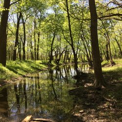Carpenter Park