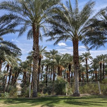 Shields Date Garden - Date Trees - Fruits & Veggies Near Me - Indio, California Shields Date Garden - Date Trees - Fruits & Veggies Near Me - Indio, California