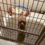 Photo of Austin Pet Ranch