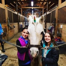Meadow Creek Farm