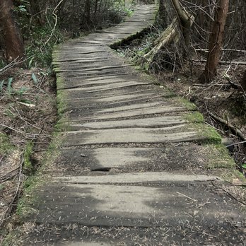 Shi Shi Beach - Parks Near Me - Neah Bay, Washington Shi Shi Beach - Parks Near Me - Neah Bay, Washington