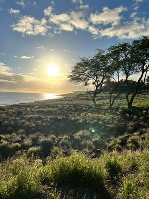 Four Seasons Resort Lanai by null